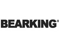 Воблеры Bearking на сайте voblery-bearking.com.ua - Вес воблера 16 г, 26.7 г