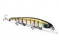 Bearking MagSquad 115F L Perch