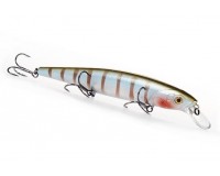 Bearking MagSquad 128SP E Silver Perch