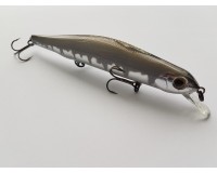 Bearking Orbit 110SP I