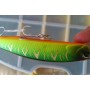 Воблер Bearking Копия Realis Jerkbait 100SP E