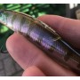 Воблер Bearking Копия Realis Jerkbait 100SP K Ghost Gill