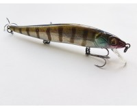 Bearking Vision 110SP E